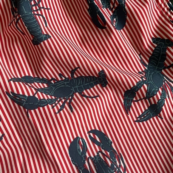 Rainforest Navy Blue Lobster and Red Striped Swim Trunks Size Medium - Picture 2 of 8